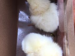 -兴芮温泉度假区