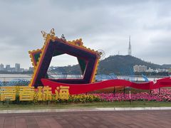 -野狸岛
