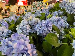 -HALO广场(梨园路店)
