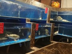 水产区-百姓渔村(建设路店)