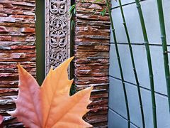 -春晖园度假酒店温泉