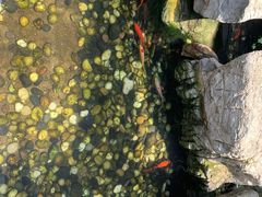 -苏州独墅湖书香世家酒店