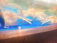 -盒马鲜生(悦峰店)
