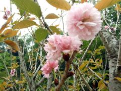 -火炉山森林公园