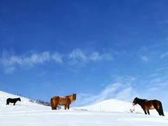 -小渠子旅游区