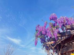 -清明上河园