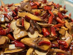 -鲜菌江湖正宗野生菌火锅