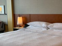 -广州奥园喜来登酒店