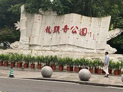 -龙头寺公园