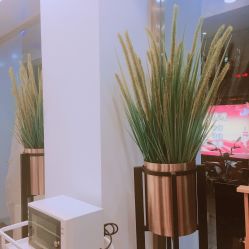 -YESIDO椰岛造型烫发染发