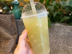-佳藕天成(南宋御街店)
