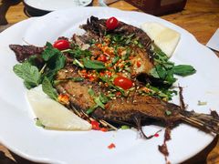 -老滇山寨•云南特色菜•地方菜•民族风情歌舞表演(金碧店)