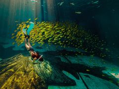 -三亚海昌梦幻海洋不夜城