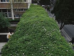 -四川大学(望江校区)
