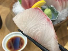 -一本钓鲔鱼屋