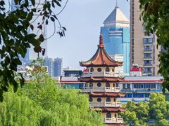 -宝岛公园
