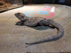 -酷嗒动物文化乐园(cutezoo西溪乐天城店)