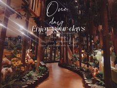 -黄海国家森林公园