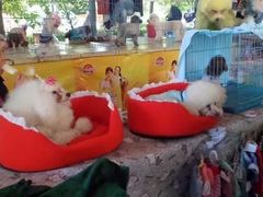 -长春农博园