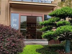 -绿雪芽白茶(浙大华家池校区凯旋路店)