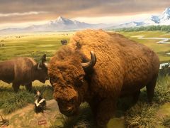 -陕西自然博物馆