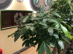 -岭南小生·粤港点心(华新旗舰店)