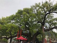 -新安江山水画廊风景区