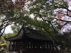 -上海醉白池公园