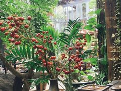 -The Flowers Coffee(南山店)