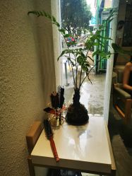 点击看大图 -菲·木田moontin造型salon