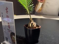 -梅花境(万科店)