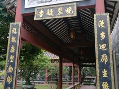 -碧江金楼