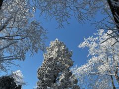 -庐山风景名胜区