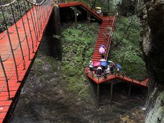 -牛背梁国家森林公园