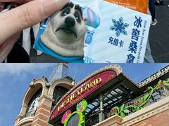 -上海迪士尼度假区