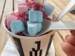 -JW德国冻酸奶Frozen Yogurt(龙湖成都滨江天街店)