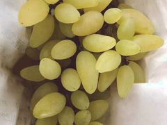 -马陆小张葡萄园农家乐