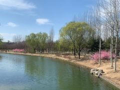 -大兴滨河森林公园