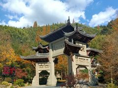 -东天目山风景区