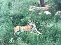-西安秦岭野生动物园