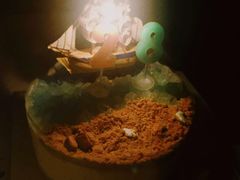 -千浔一暖DIY蛋糕烘焙(人民大学店)