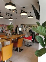 -净漪造型 PURE RIPPLE