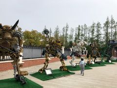 -上海长兴岛郊野公园