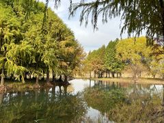 -贡湖湾湿地公园