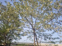 -白鹭湾湿地公园