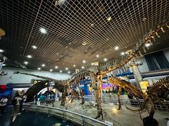 -国家自然博物馆