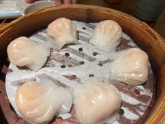 -乔街深夜食堂·台州菜·高压锅生蚝(杭州总店)
