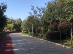 -洛龙公园