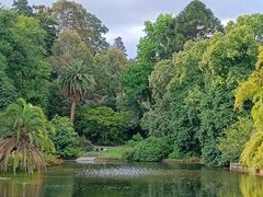 -墨尔本皇家植物园