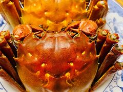 -红鼎豆捞·非遗鲍皇汤火锅(宝丰路店)